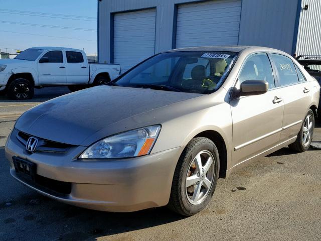 JHMCM56854C011560 - 2004 HONDA ACCORD GOLD photo 2