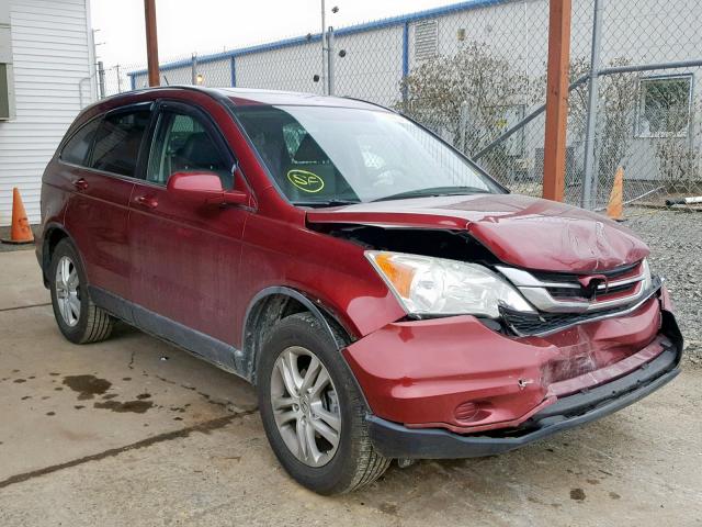 5J6RE4H76AL040918 - 2010 HONDA CR-V EXL BURGUNDY photo 1