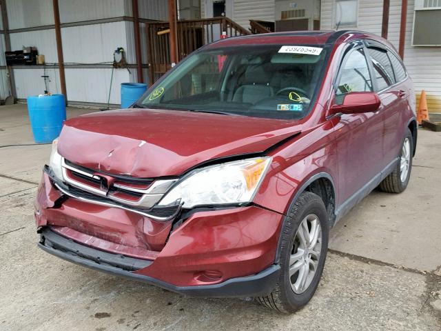 5J6RE4H76AL040918 - 2010 HONDA CR-V EXL BURGUNDY photo 2