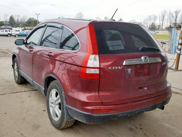 5J6RE4H76AL040918 - 2010 HONDA CR-V EXL BURGUNDY photo 3