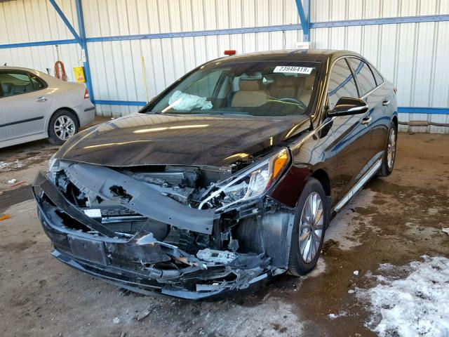 5NPE34AF2FH150291 - 2015 HYUNDAI SONATA SPO BLACK photo 2