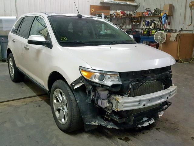 2FMDK3JC5BBB38135 - 2011 FORD EDGE SEL WHITE photo 1