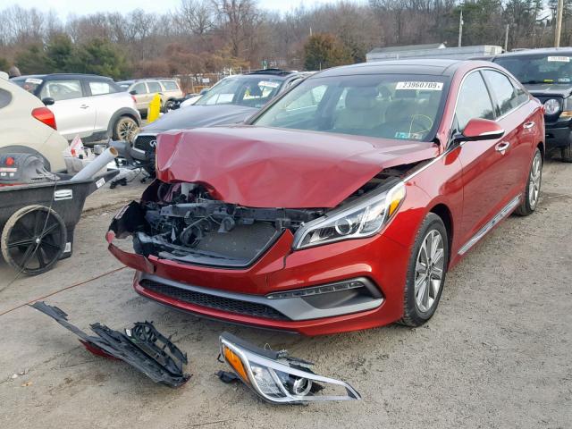 5NPE34AFXGH327011 - 2016 HYUNDAI SONATA SPO RED photo 2