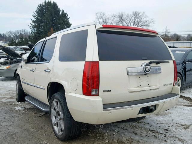 1GYFK23219R112516 - 2009 CADILLAC ESCALADE L CREAM photo 3