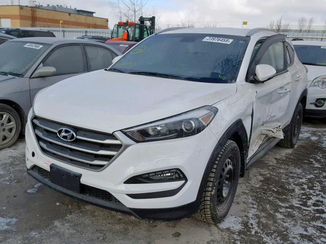 KM8J33A49HU553745 - 2017 HYUNDAI TUCSON LIM WHITE photo 2