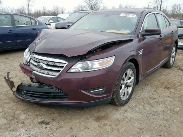 1FAHP2EW5BG165923 - 2011 FORD TAURUS SEL MAROON photo 2