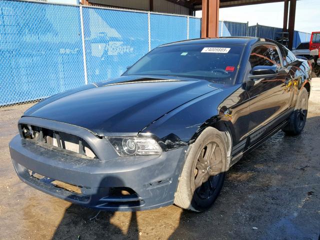 1ZVBP8AM6E5262469 - 2014 FORD MUSTANG BLACK photo 2