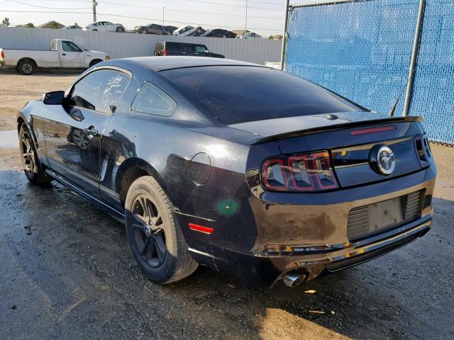 1ZVBP8AM6E5262469 - 2014 FORD MUSTANG BLACK photo 3