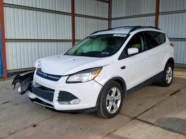 1FMCU0GX9EUC49025 - 2014 FORD ESCAPE SE WHITE photo 2