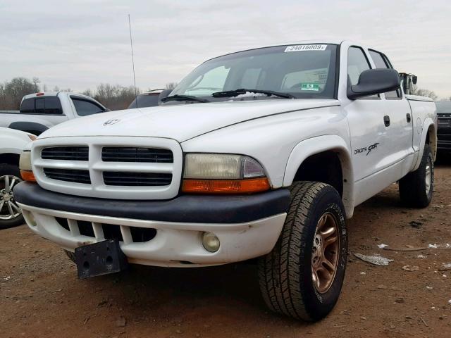 1B7GG2AN11S173872 - 2001 DODGE DAKOTA QUA WHITE photo 2