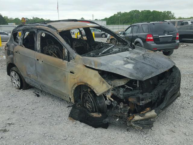 1FMCU0F7XDUD87866 - 2013 FORD ESCAPE S BURN photo 1