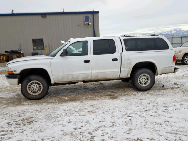 1B7GG2AN9YS636352 - 2000 DODGE DAKOTA QUA WHITE photo 9