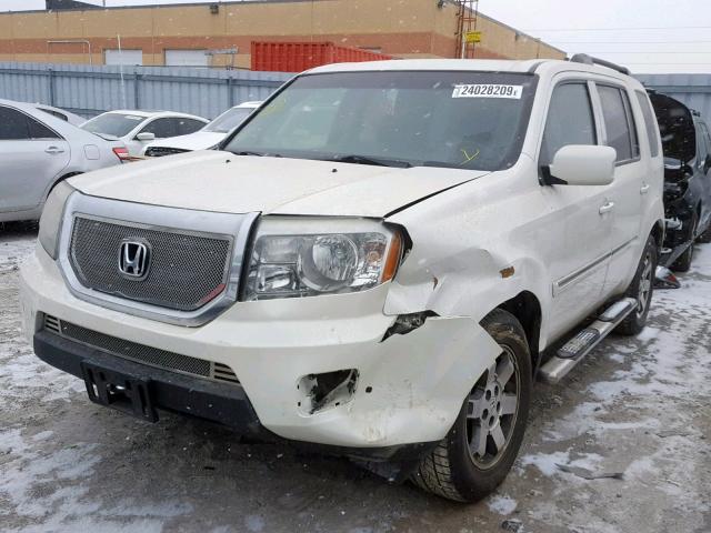 5FNYF4H96BB506948 - 2011 HONDA PILOT TOUR WHITE photo 2