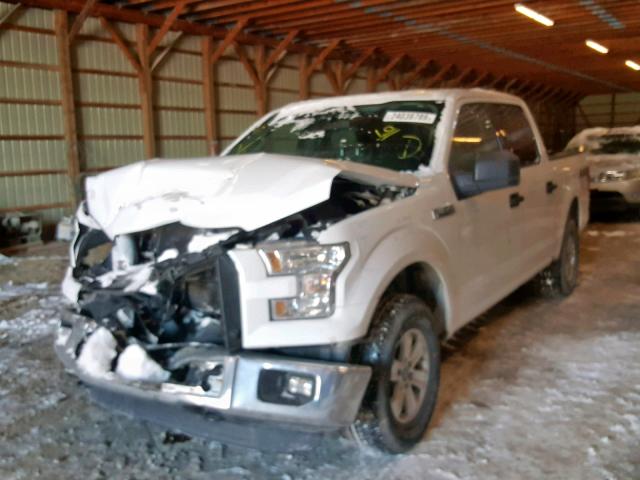 1FTEW1EF9GFD43243 - 2016 FORD F150 SUPER WHITE photo 2