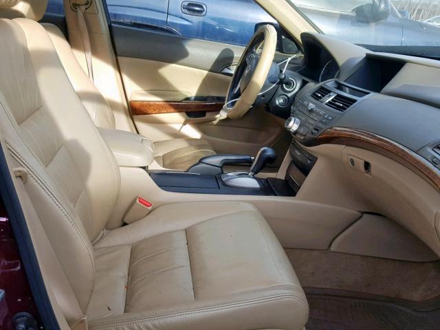 1HGCP36808A011790 - 2008 HONDA ACCORD EXL BURGUNDY photo 5