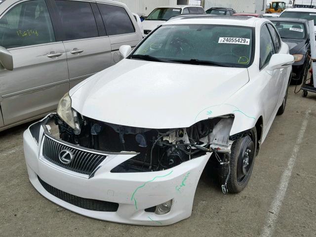 JTHBK262595096942 - 2009 LEXUS IS 250 WHITE photo 2