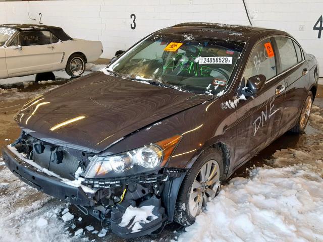 1HGCP3F81CA008907 - 2012 HONDA ACCORD EXL BROWN photo 2