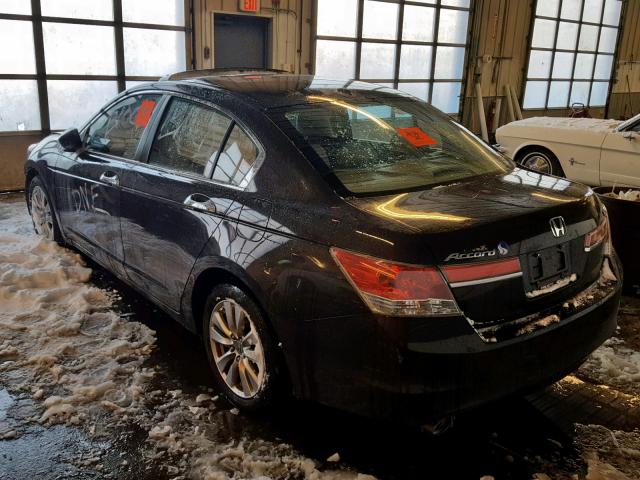 1HGCP3F81CA008907 - 2012 HONDA ACCORD EXL BROWN photo 3