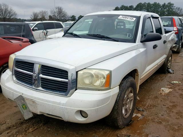 1D7HE48NX5S261911 - 2005 DODGE DAKOTA QUA WHITE photo 2