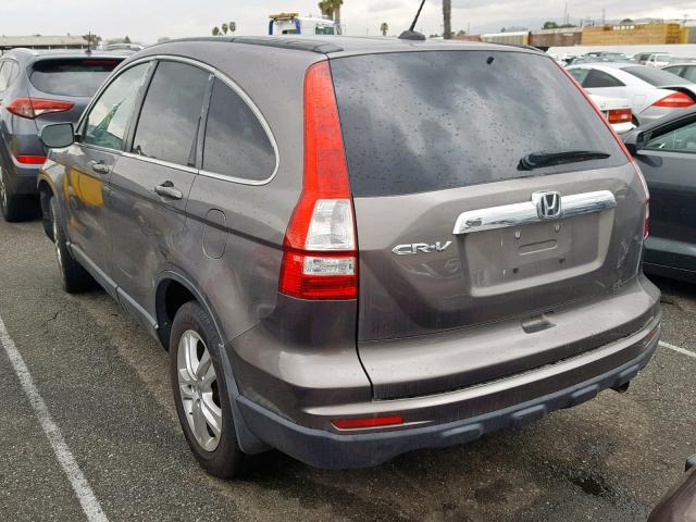 5J6RE3H75AL016393 - 2010 HONDA CR-V EXL GRAY photo 3