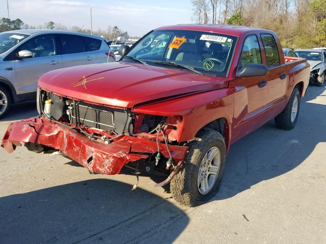 1D7CE3GKXAS228204 - 2010 DODGE DAKOTA SXT RED photo 2