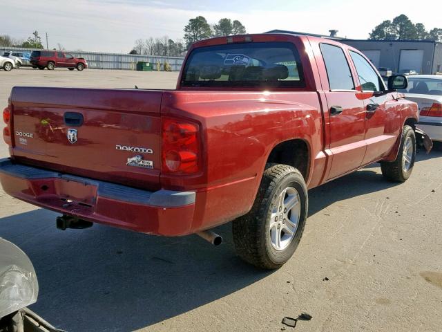 1D7CE3GKXAS228204 - 2010 DODGE DAKOTA SXT RED photo 4