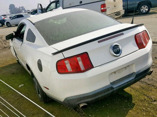 1ZVBP8CH0A5157887 - 2010 FORD MUSTANG GT WHITE photo 3