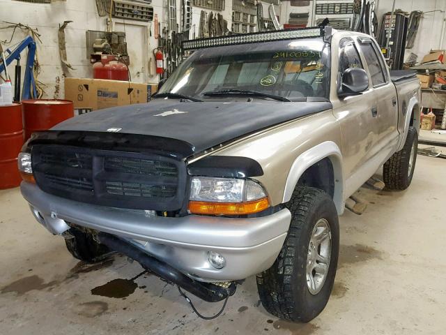 1B7HG48N72S639330 - 2002 DODGE DAKOTA QUA GOLD photo 2