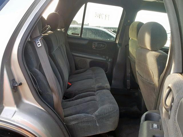 1GNDT13W512100803 - 2001 CHEVROLET BLAZER TAN photo 6