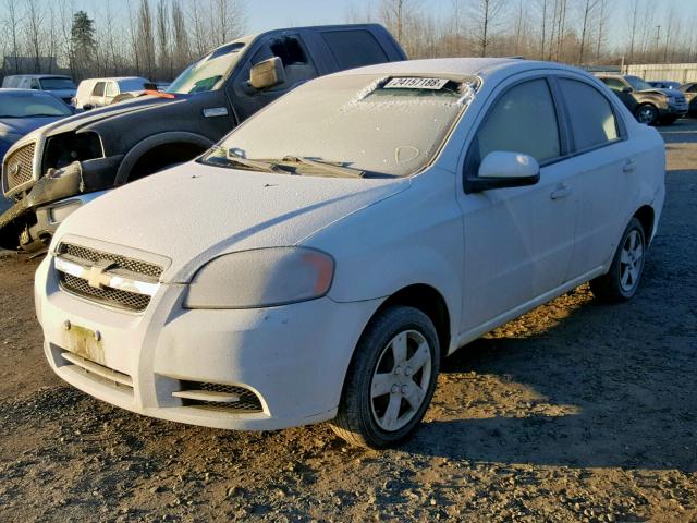 KL1TD5DE9BB245561 - 2011 CHEVROLET AVEO LS WHITE photo 2