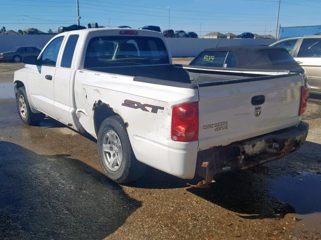 1D7HW22K97S256573 - 2007 DODGE DAKOTA ST WHITE photo 3