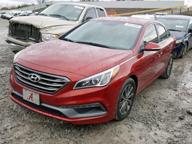 5NPE34AF8FH192514 - 2015 HYUNDAI SONATA SPO RED photo 2