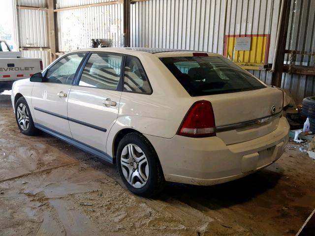 1G1ZS62885F214397 - 2005 CHEVROLET MALIBU MAX თეთრი ფოტო 3