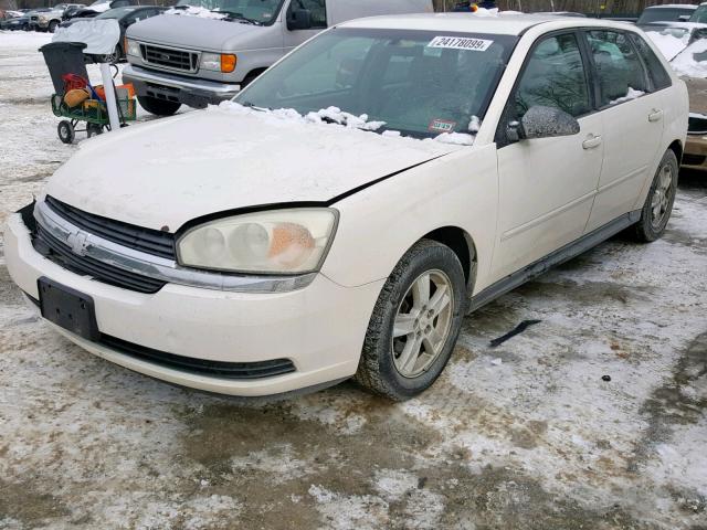 1G1ZT648X5F151183 - 2005 CHEVROLET MALIBU MAX 白色 照片 2