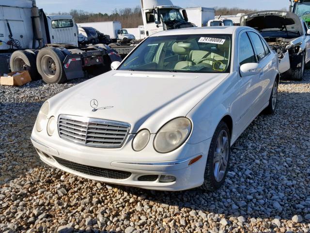 WDBUF56J96A873275 - 2006 MERCEDES-BENZ E 350 WHITE photo 2