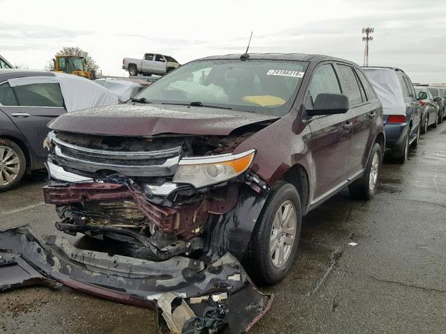 2FMDK3GCXBBA43173 - 2011 FORD EDGE SE BURGUNDY photo 2