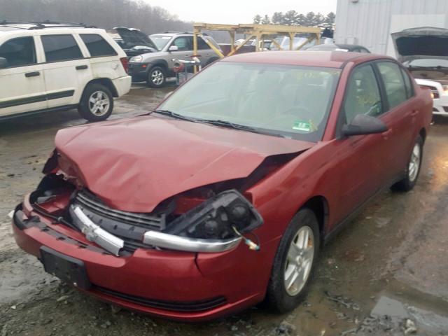1G1ZT54895F244531 - 2005 CHEVROLET MALIBU LS Bordo foto 2