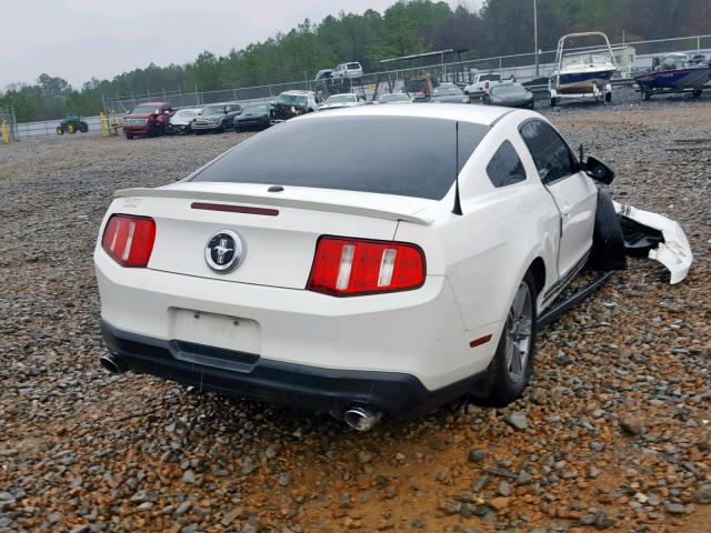 1ZVBP8AM9C5287640 - 2012 FORD MUSTANG WHITE photo 4