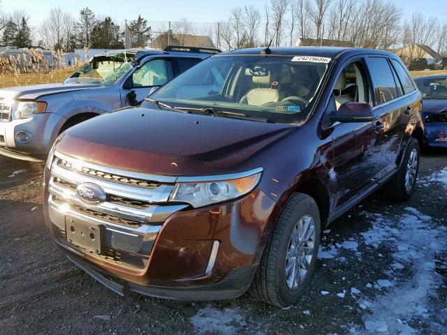 2FMDK4KC4CBA67497 - 2012 FORD EDGE LIMIT BURGUNDY photo 2