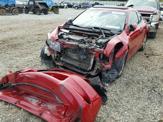 1HGCS12829A007668 - 2009 HONDA ACCORD EXL RED photo 2