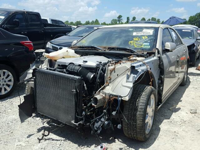 1G6DC67A080123290 - 2008 CADILLAC STS GOLD photo 2