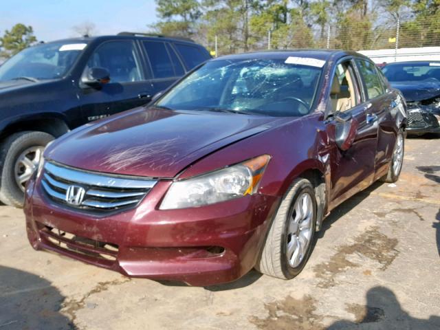 1HGCP3F86CA036301 - 2012 HONDA ACCORD EXL BURGUNDY photo 2