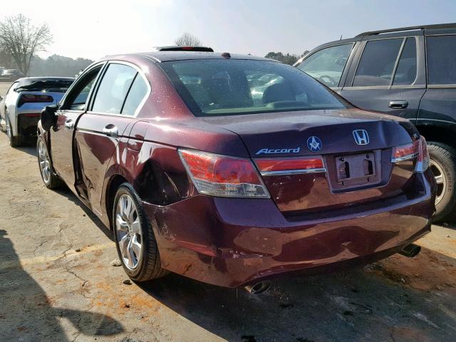 1HGCP3F86CA036301 - 2012 HONDA ACCORD EXL BURGUNDY photo 3