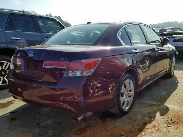 1HGCP3F86CA036301 - 2012 HONDA ACCORD EXL BURGUNDY photo 4