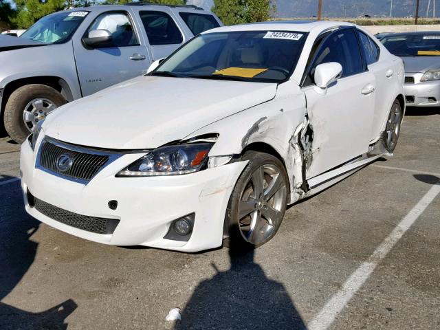 JTHBF5C24D5189339 - 2013 LEXUS IS 250 WHITE photo 2