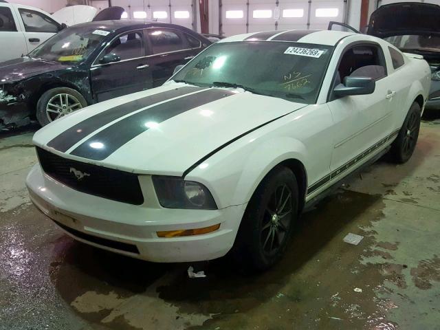 1ZVFT80N775297662 - 2007 FORD MUSTANG WHITE photo 2