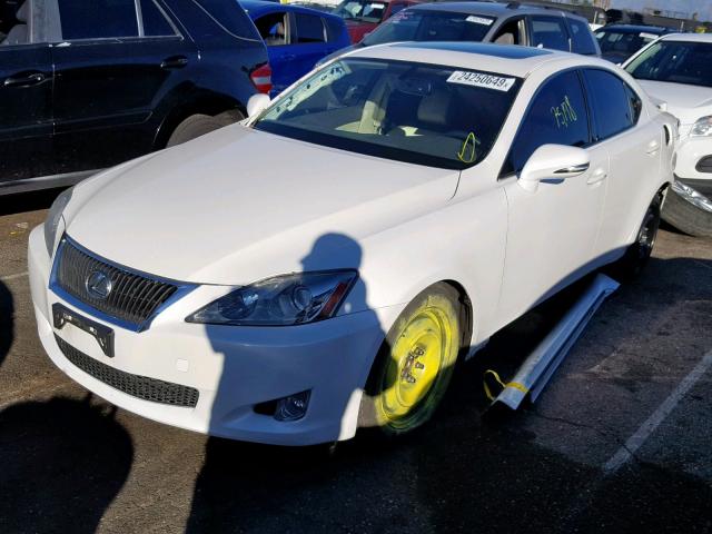 JTHBF5C24A5126401 - 2010 LEXUS IS 250 WHITE photo 2