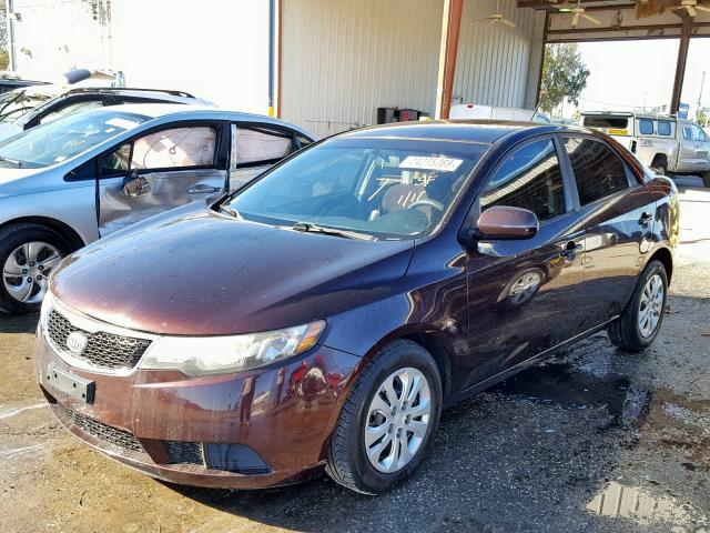 KNAFU4A28B5401272 - 2011 KIA FORTE EX MAROON photo 2