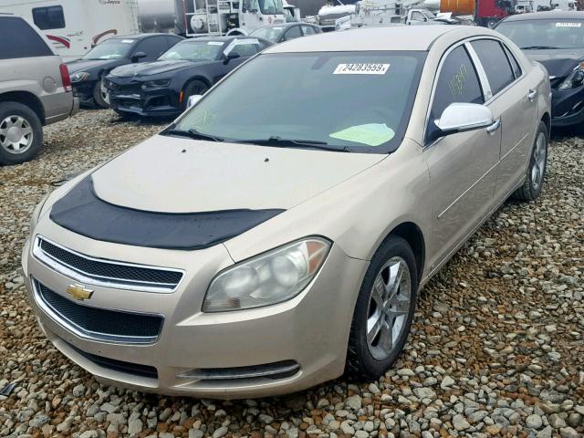1G1ZC5E00AF128685 - 2010 CHEVROLET MALIBU 1LT GOLD photo 2