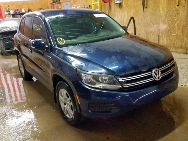 WVGAV3AXXDW597823 - 2013 VOLKSWAGEN TIGUAN S BLUE photo 1